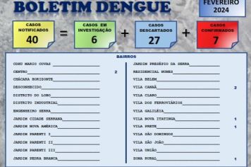 BOLETIM DA DENGUE – FEVEREIRO!