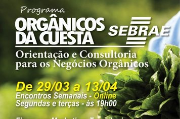 Programa Sebrae - Orgânicos da Cuesta