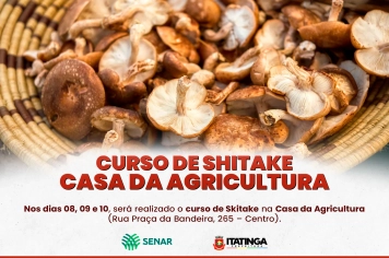 Curso de Shitake