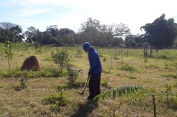 Roçada e manutenção no Distrito do Lobo 