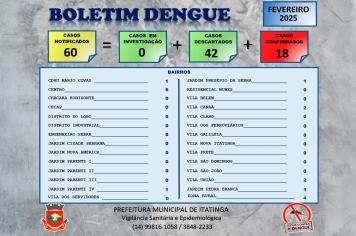 Boletim da Dengue – Fevereiro 