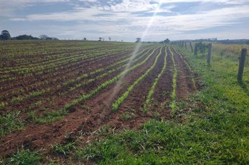 Patrulha Agrícola auxiliando o pequeno produtor!