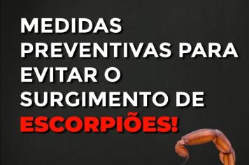 CONTRA O ESCORPIÃO O IMPORTANTE É A PREVENÇÃO