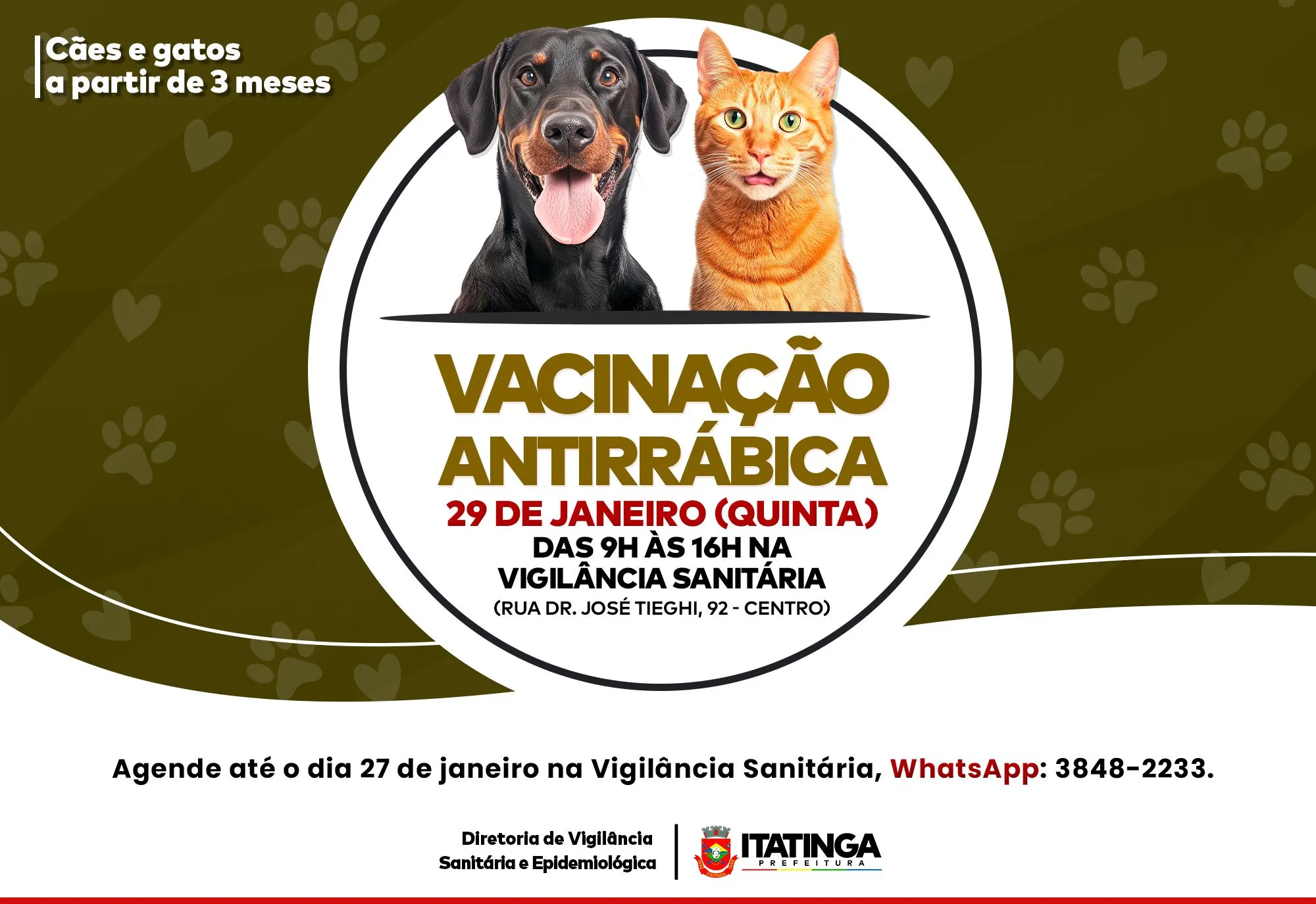 Vacinação Antirrábica para Cães e Gatos