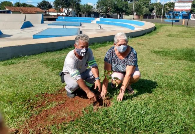 Pequenas ações individuais podem fazer grande diferença