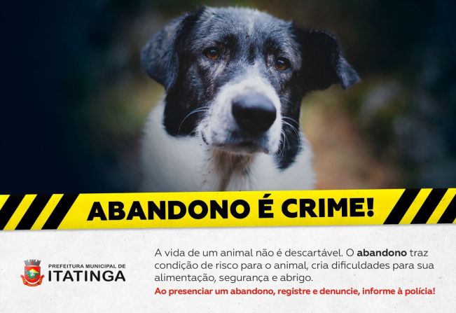 ABANDONO DE ANIMAIS É CRIME!