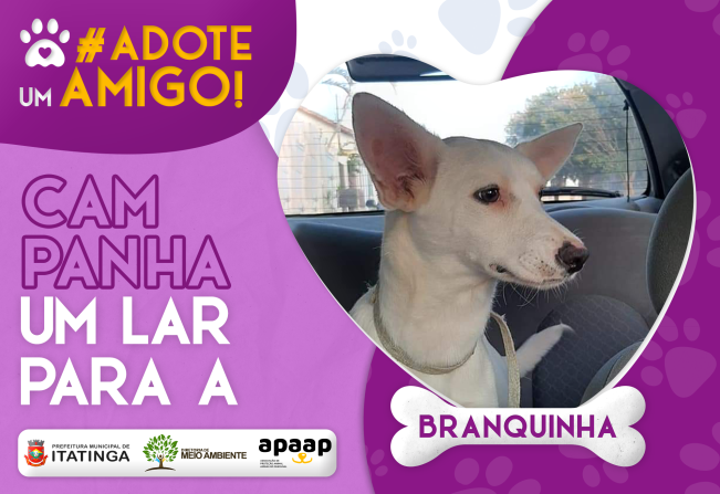 ADOTE UM AMIGO! 